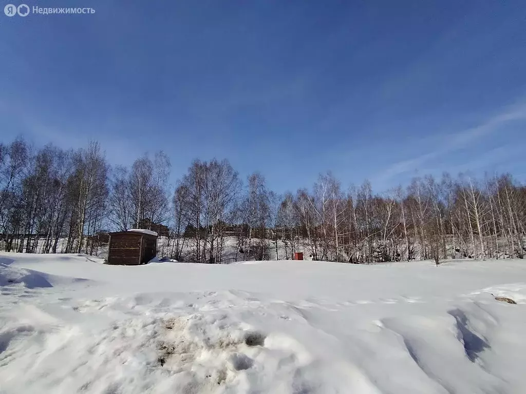 Участок в деревня Подвалиха, Футбольная улица (11.5 м) - Фото 1