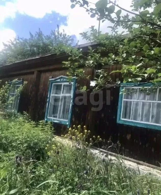Дом в Алтай, Шебалинский район, с. Шебалино Алтайская ул., 85 (68 м) - Фото 1