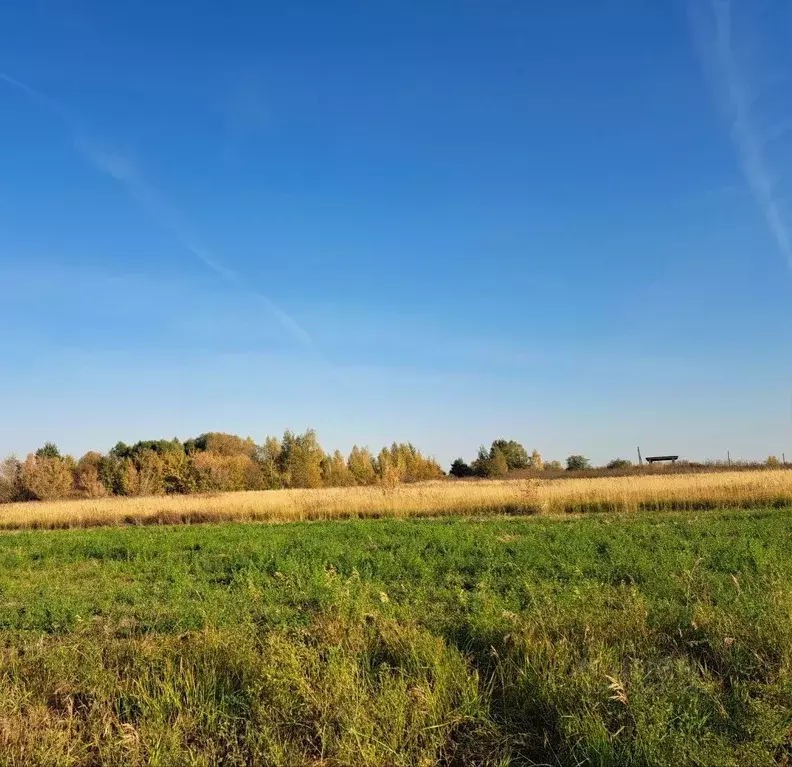 Участок в Московская область, Кашира городской округ, д. Никулино  ... - Фото 0