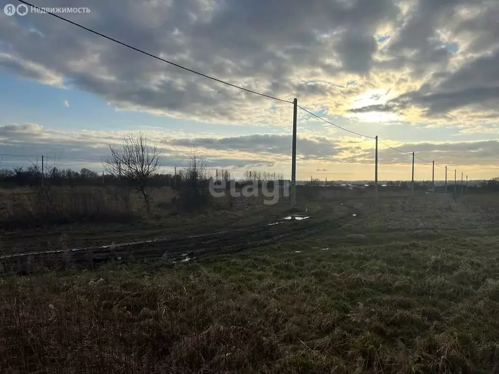 Участок в Калининградская область, Гурьевский муниципальный округ, ... - Фото 1