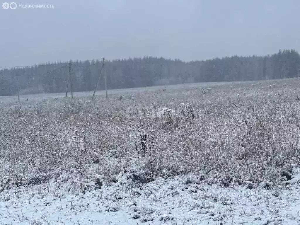 Участок в Нижегородская область, Балахнинский муниципальный округ, ... - Фото 0