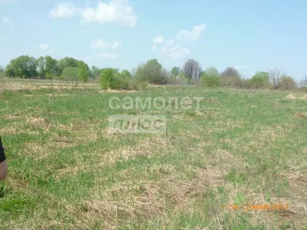 Участок в Ярославская область, Переславль-Залесский муниципальный ... - Фото 1