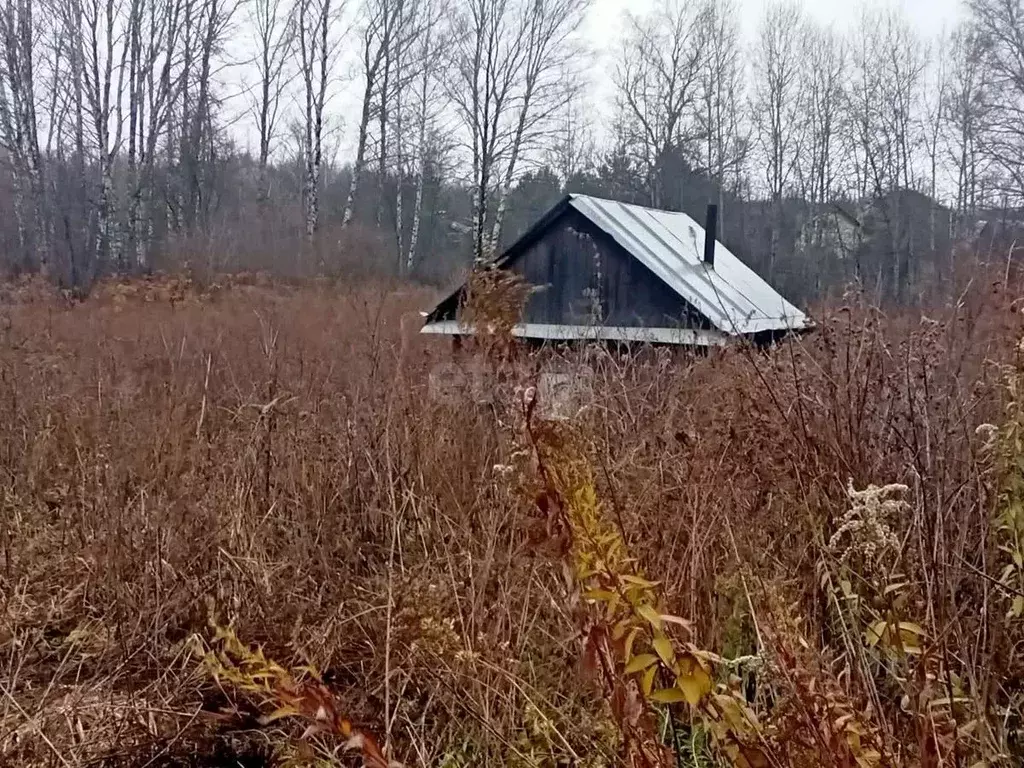 Участок в Кемеровская область, Новокузнецкий муниципальный округ, с. ... - Фото 1