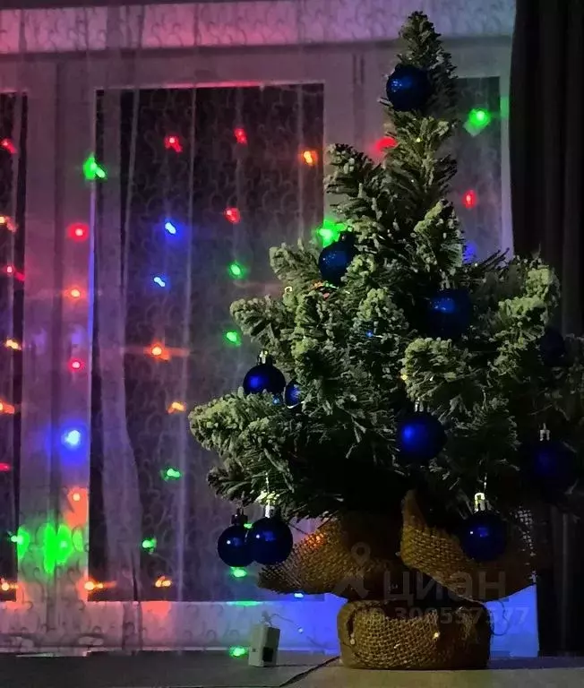 1-к кв. Псковская область, Псков Инженерная ул., 125 (35.0 м) - Фото 1