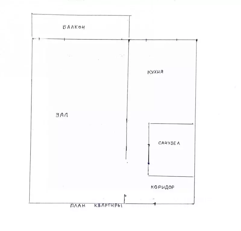 1-к кв. Алтайский край, Новоалтайск ул. Военстроя, 82 (30.0 м) - Фото 1