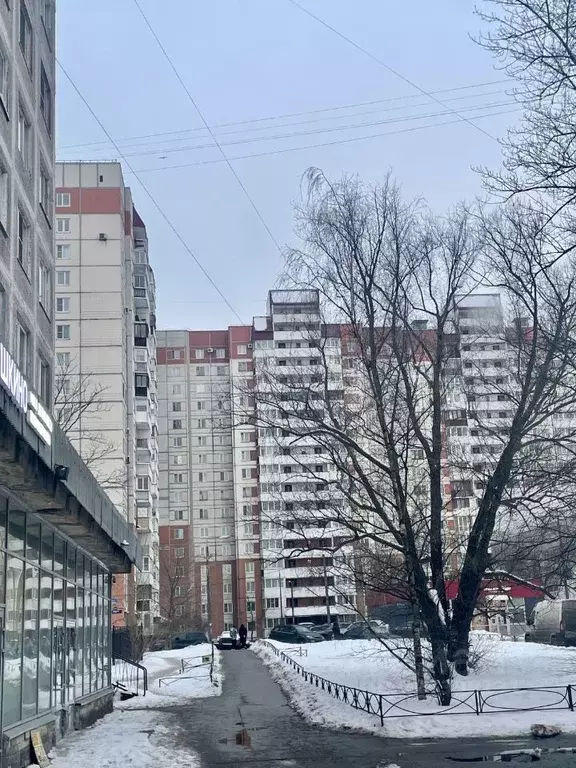 4-к кв. Санкт-Петербург Народная ул., 5к2 (136.6 м) - Фото 1