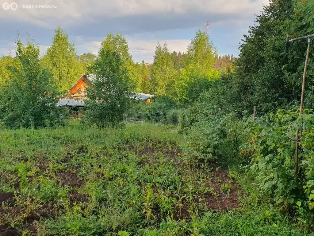 Дом в село Нижние Муллы, улица Победы (45 м) - Фото 1