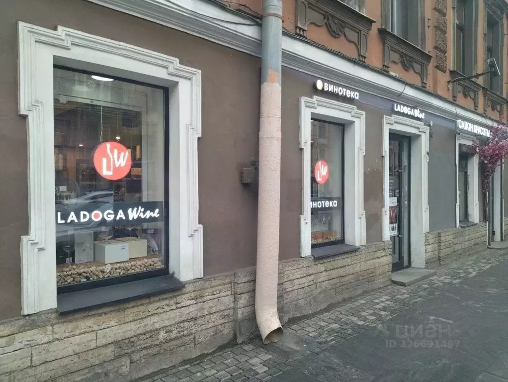 Помещение свободного назначения в Санкт-Петербург Владимирский просп., ... - Фото 2