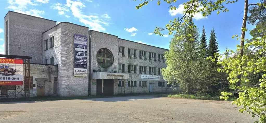 Производственное помещение в Ленинградская область, Луга ул. Свободы, ... - Фото 1