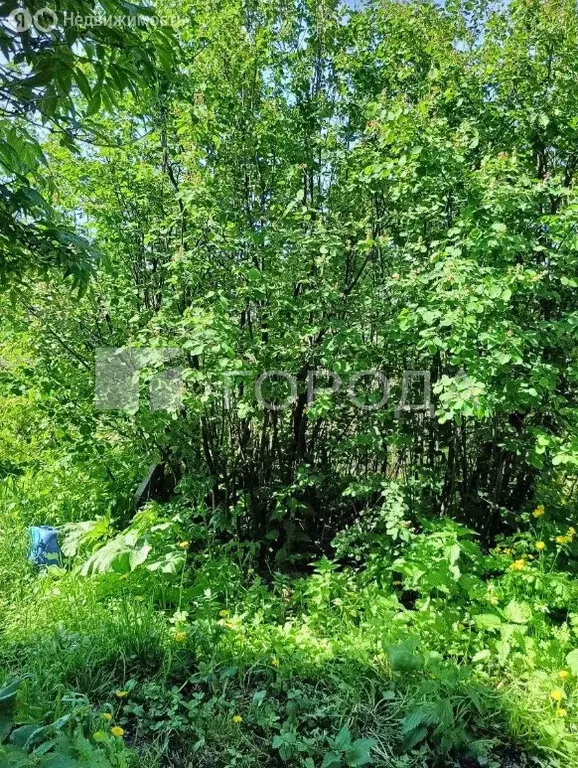 Участок в Томск, садовое товарищество Весна (390 м) - Фото 2