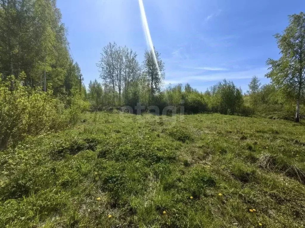 Участок в Вологодская область, Вологда Граничная ул., 37Г (14.92 сот.) - Фото 2