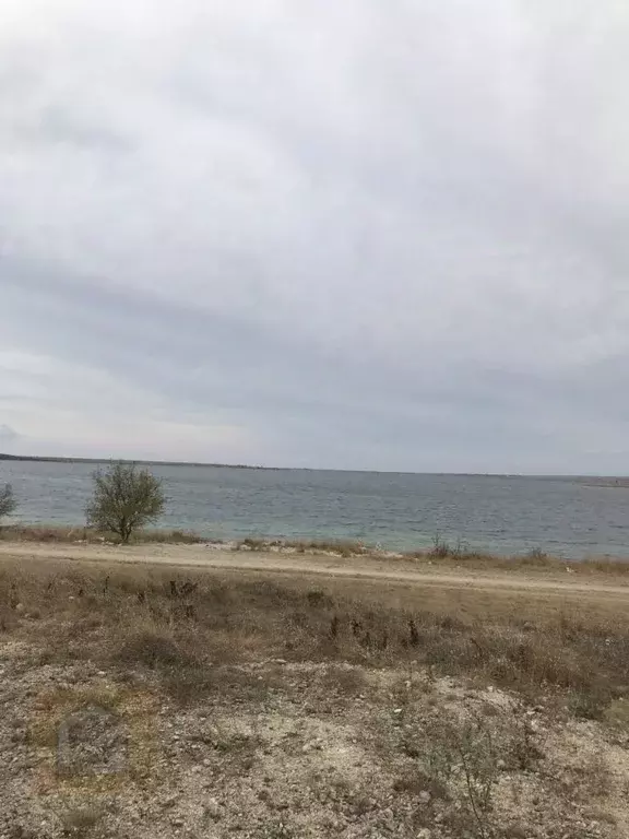 Участок в Крым, Евпатория городской округ, Новоозерное пгт пл. ... - Фото 2