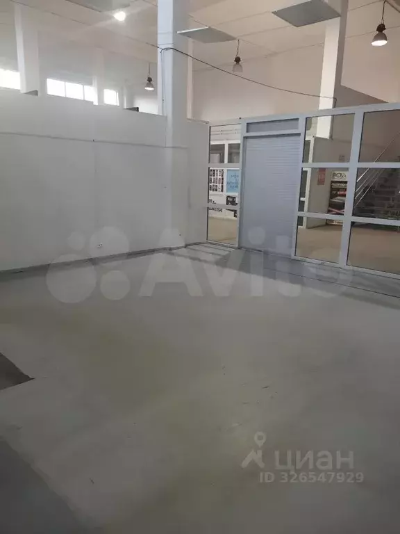 Торговая площадь в Калининградская область, Светлогорск ... - Фото 2