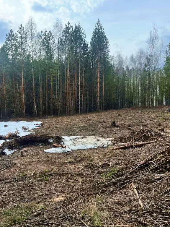 Участок в Татарстан, Зеленодольск Трудовик СНТ,  (5.0 сот.) - Фото 2