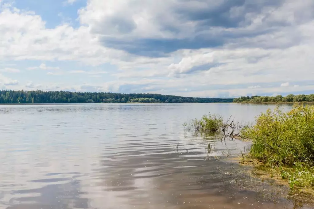 Участок в Московская область, Можайский муниципальный округ, д. ... - Фото 1