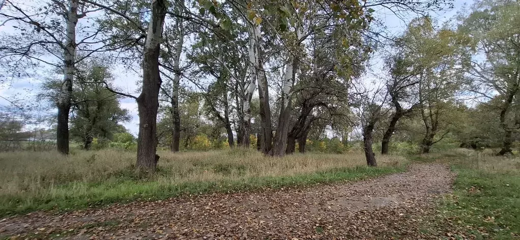 Участок в Ставропольский край, Георгиевский муниципальный округ, ... - Фото 1