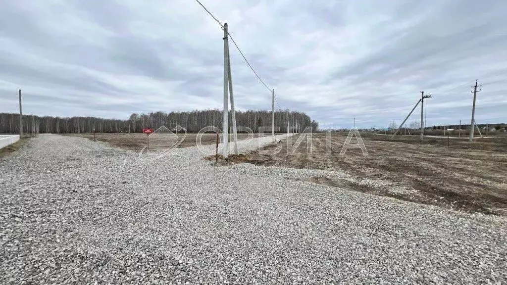 Участок в Свердловская область, Тугулымский муниципальный округ, с. ... - Фото 1