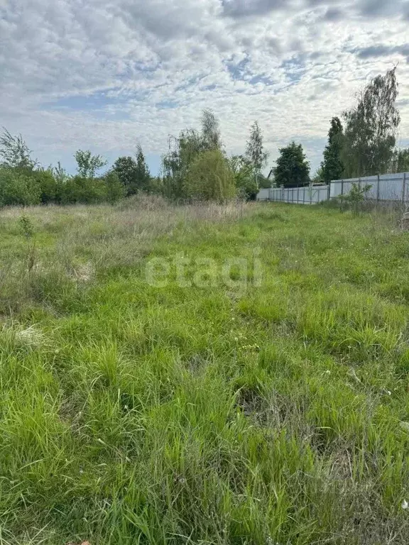Участок в Воронежская область, с. Новая Усмань ул. Школьная, 85/4 (8.2 ... - Фото 0