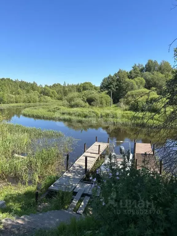 Участок в Псковская область, Псковский район, Середкинская волость, д. ... - Фото 2