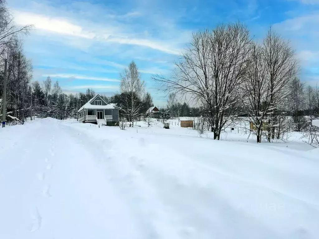Участок в Московская область, Дмитровский муниципальный округ, Форест ... - Фото 1