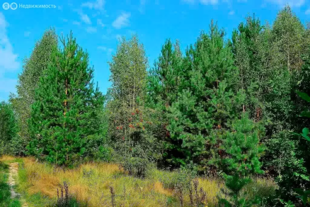 Участок в село Нижняя Тавда, Берёзовая улица (10 м) - Фото 0