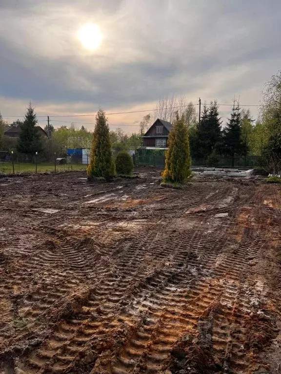 Участок в Ленинградская область, Всеволожский район, Сертоловское ... - Фото 1