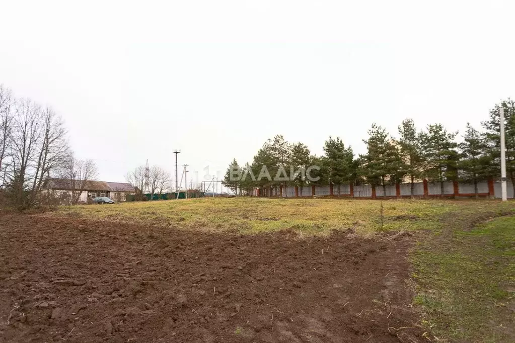 Участок в Владимирская область, Суздальский район, Павловское ... - Фото 1