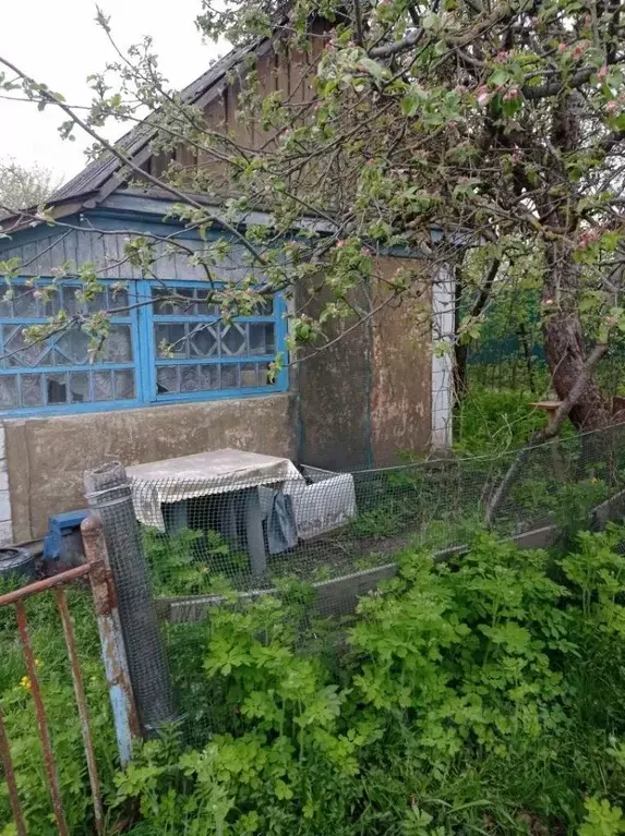 Дом в Брянская область, Фокино Мичуринец-1 садоводческое товарищество, ... - Фото 1