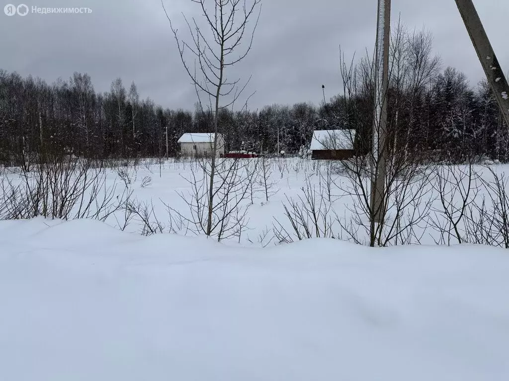 Участок в Владимирская область, Александровский муниципальный округ, ... - Фото 2
