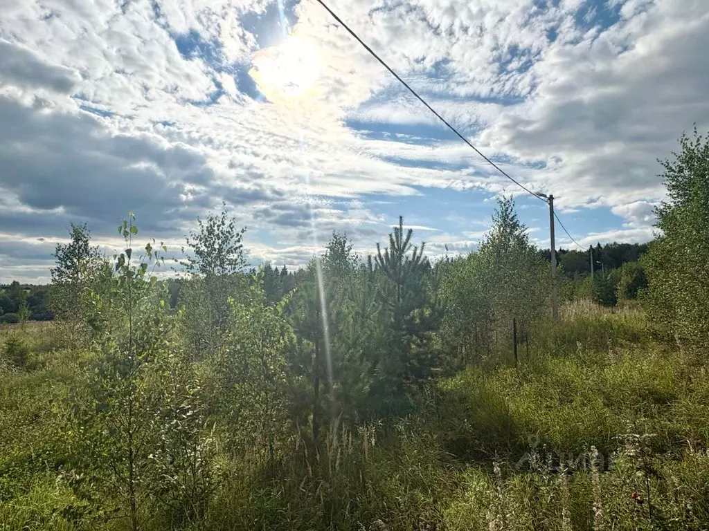 Участок в Московская область, Сергиево-Посадский городской округ, д. ... - Фото 2