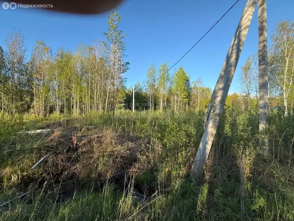 Участок в Тюменская область, Тобольский муниципальный округ, ... - Фото 1