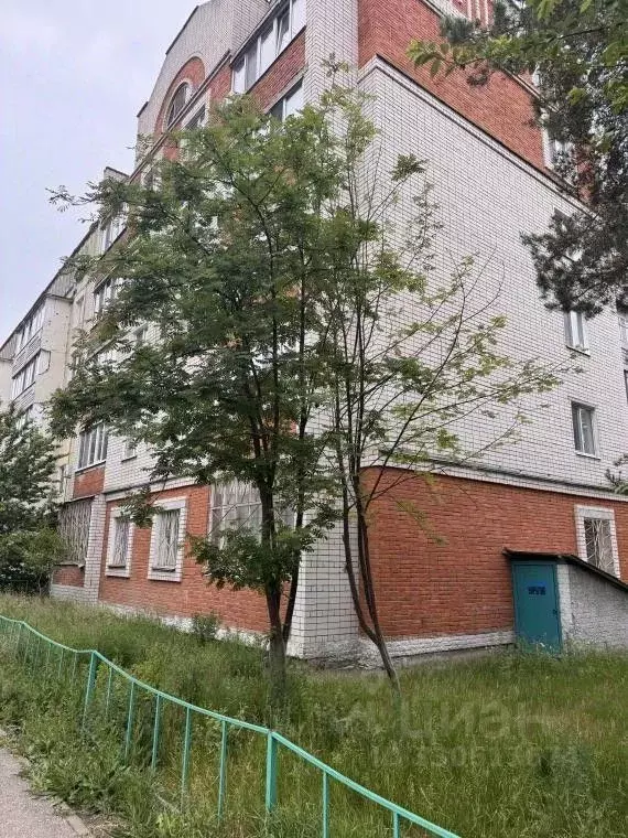 1-к кв. Татарстан, Зеленодольск ул. Бакы Урманче, 10 (53.0 м) - Фото 1