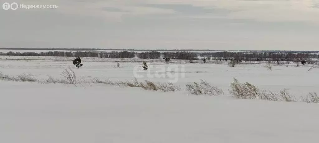 Участок в Алтайский край, городской округ Барнаул, посёлок Центральный ... - Фото 1