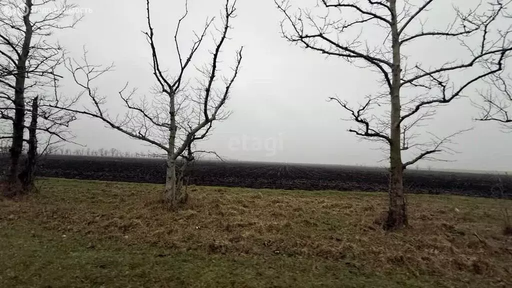 Участок в Симферопольский район, село Журавлёвка (1153.45 м) - Фото 2