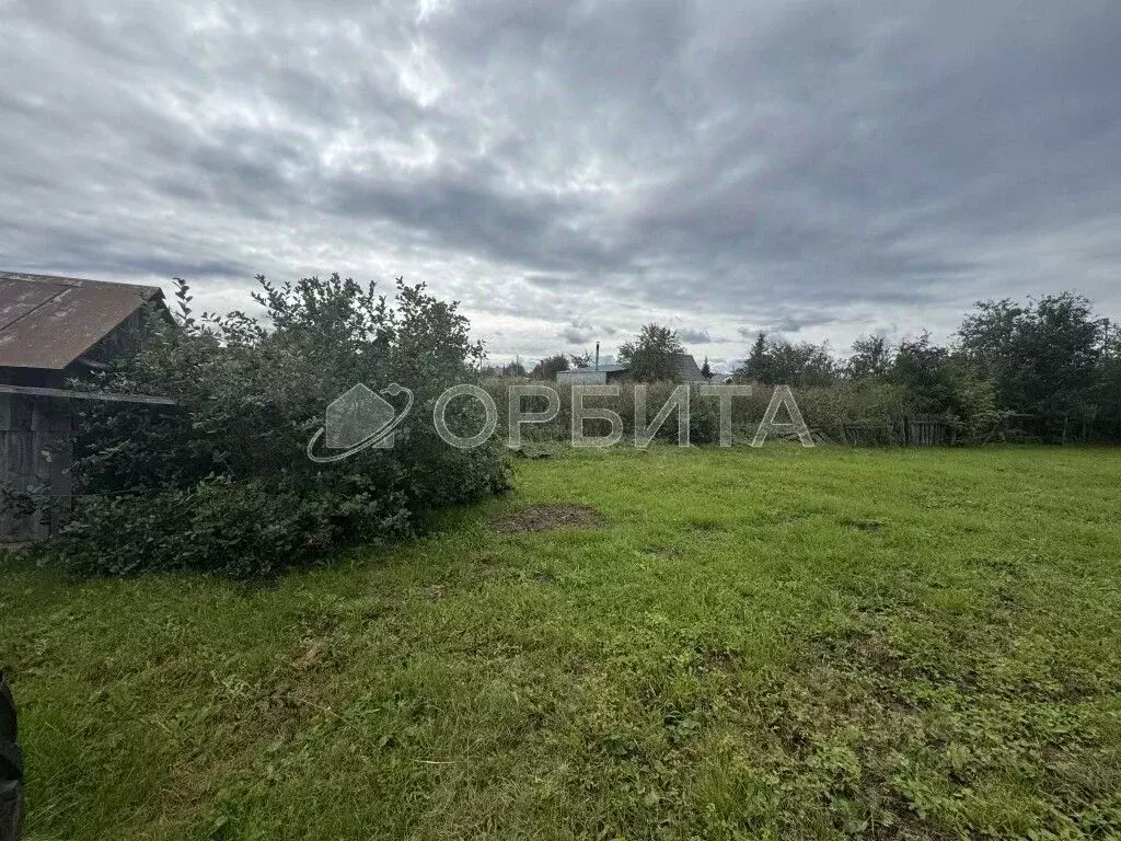 Участок в Тюменская область, Тюменский муниципальный округ, Боровский ... - Фото 2