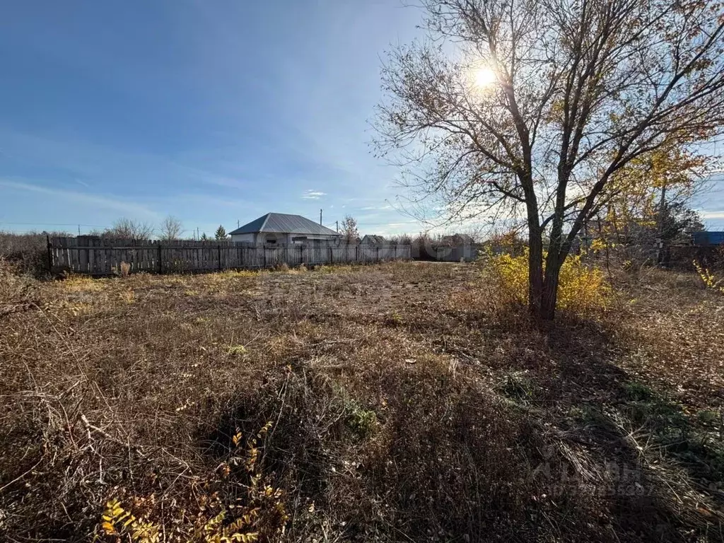 Участок в Оренбургская область, Сакмарский район, Татаро-Каргалинский ... - Фото 1