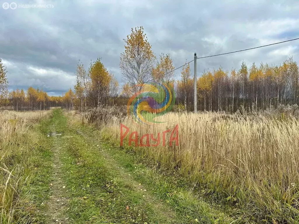 Участок в деревня Песочнево, Хвойная улица (22 м) - Фото 1
