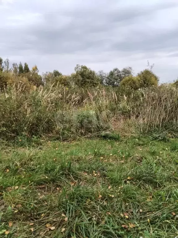 Участок в Вологодская область, д. Михальцево  (9.0 сот.) - Фото 1