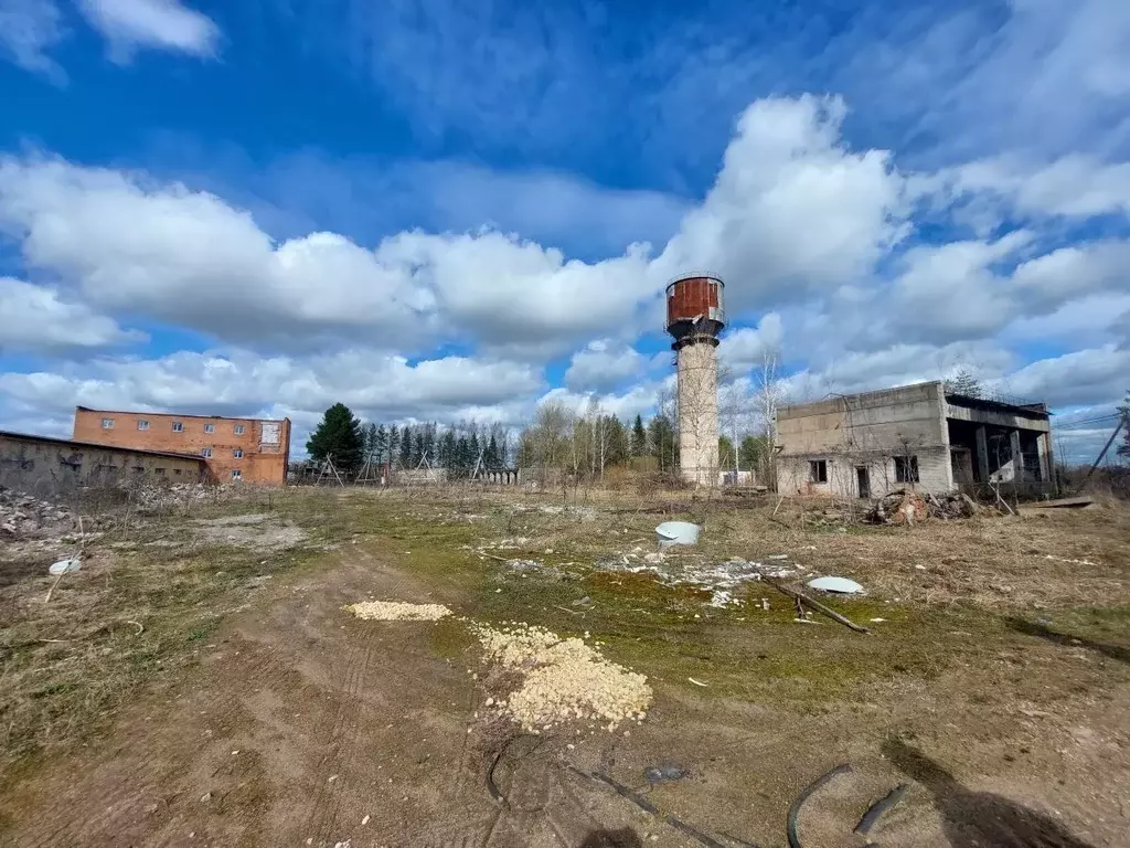 Производственное помещение в Ленинградская область, Гатчинский ... - Фото 2