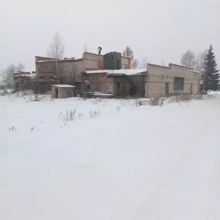 Помещение свободного назначения в Томская область, Первомайский район, ... - Фото 1