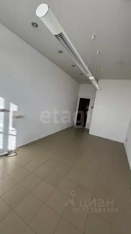 Офис в Амурская область, Благовещенск Тенистая ул., 127 (20 м) - Фото 2