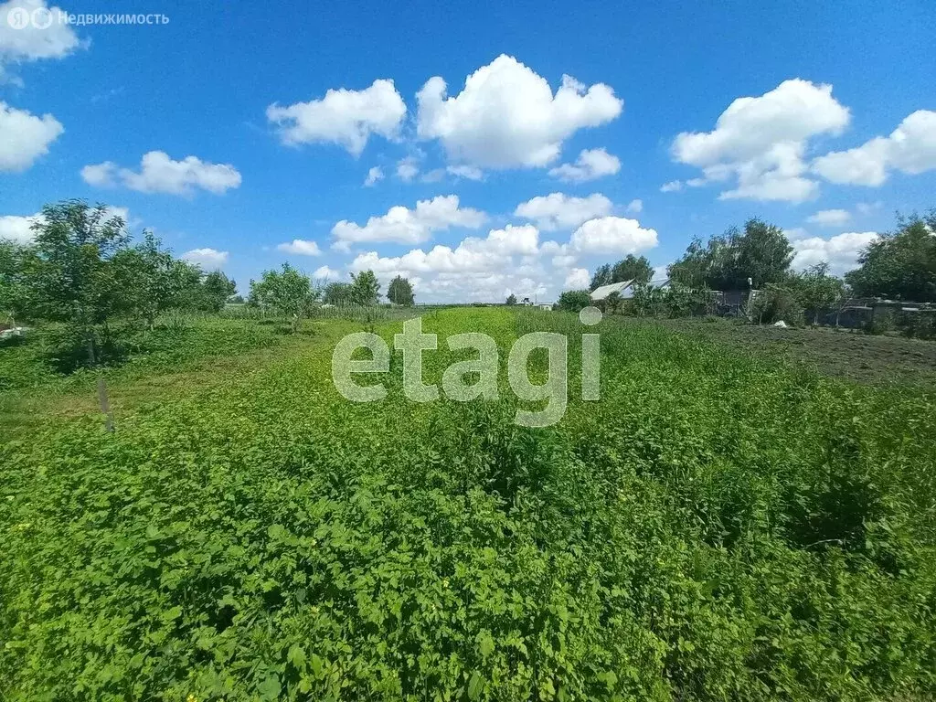 Участок в село Толмачево, Партизанская улица (8.1 м) - Фото 1