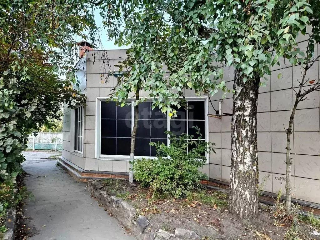 Торговая площадь в Тамбовская область, Тамбов Астраханская ул., 198Б ... - Фото 1