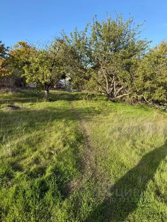 Участок в Крым, Симферопольский район, Молодежное пгт, Аграрник СНТ ... - Фото 2