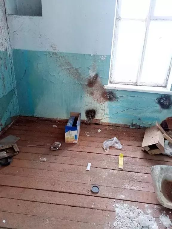 Помещение свободного назначения в Алтайский край, Зональный район, с. ... - Фото 1