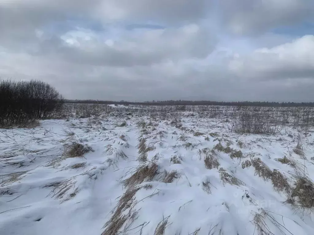 Участок в Московская область, Истра  (16.59 сот.) - Фото 1