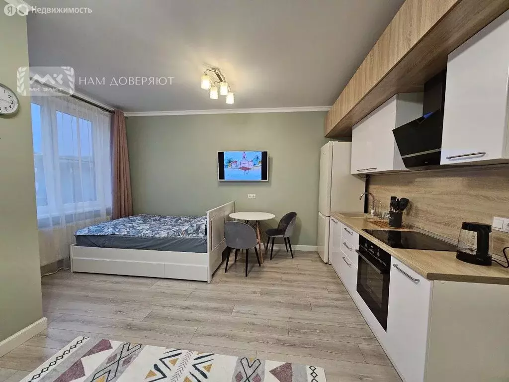 Квартира-студия: Санкт-Петербург, Парфёновская улица, 11к1 (29.4 м) - Фото 2