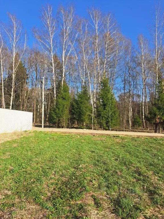 Участок, 9 сот., поселения (ижс) - Фото 1