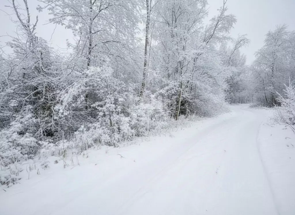 Участок в Карелия, Прионежский район, с. Заозерье Береговая ул. (11.0 ... - Фото 2