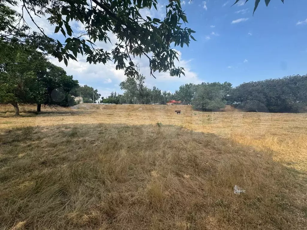 Участок 11,99 га (СНТ, ДНП) - Фото 0